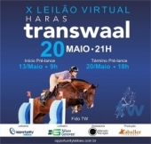 X Leilão Virtual do Haras Transwaal 2019.