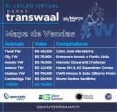 Xl leilão Haras Transwaal bate record de vendas 