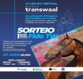Sorteio no XI Leilão Haras Transwaal