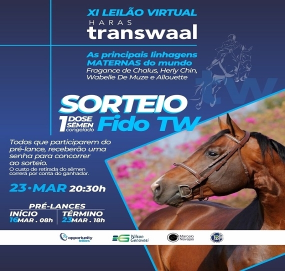 Sorteio no XI Leilão Haras Transwaal