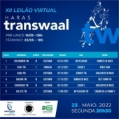 Pré-catálogo XII LEILÃO VIRTUAL Haras TransWaal!